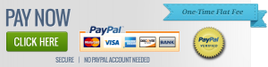 Securely Pay Now Using PayPal